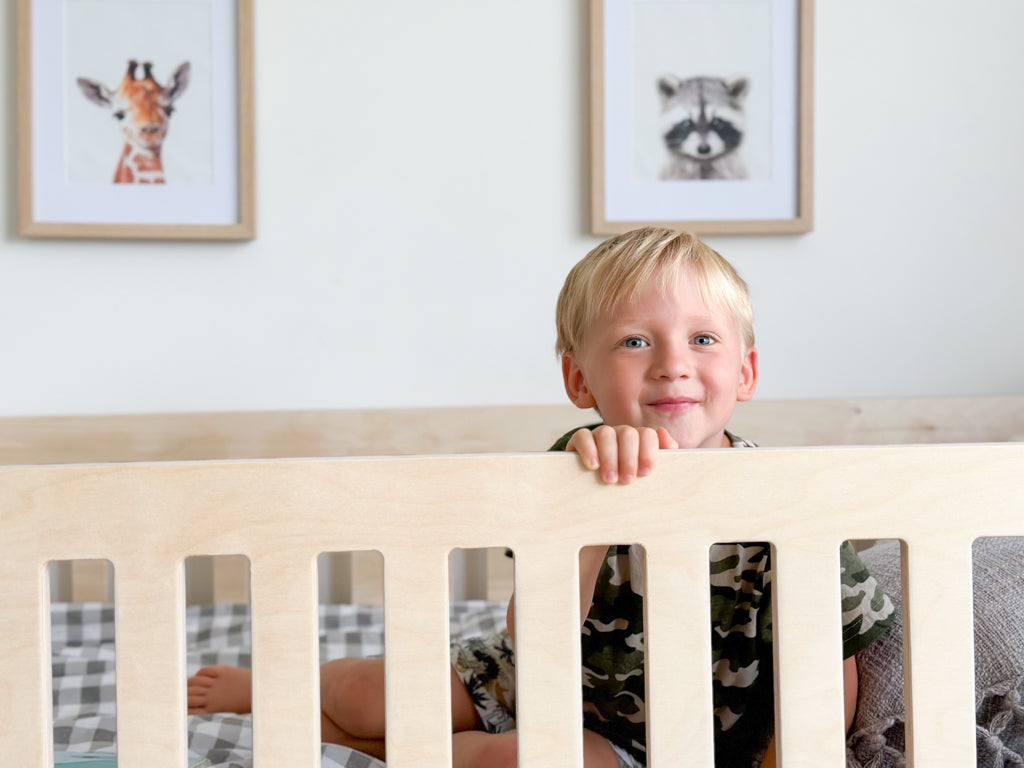 Floor bed with removable rail PLY