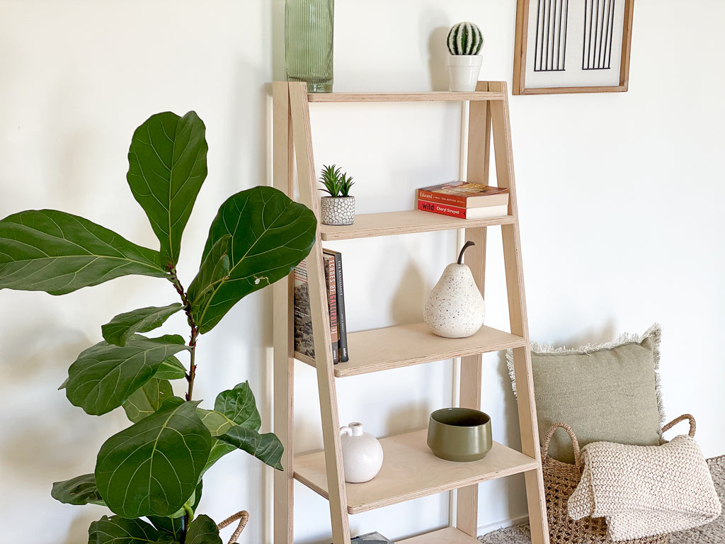 Ladder shelf